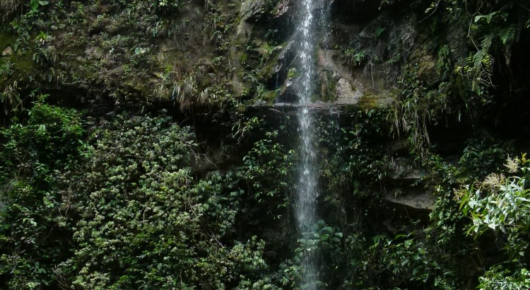 Cascade - écotourisme ©D.Tarrier