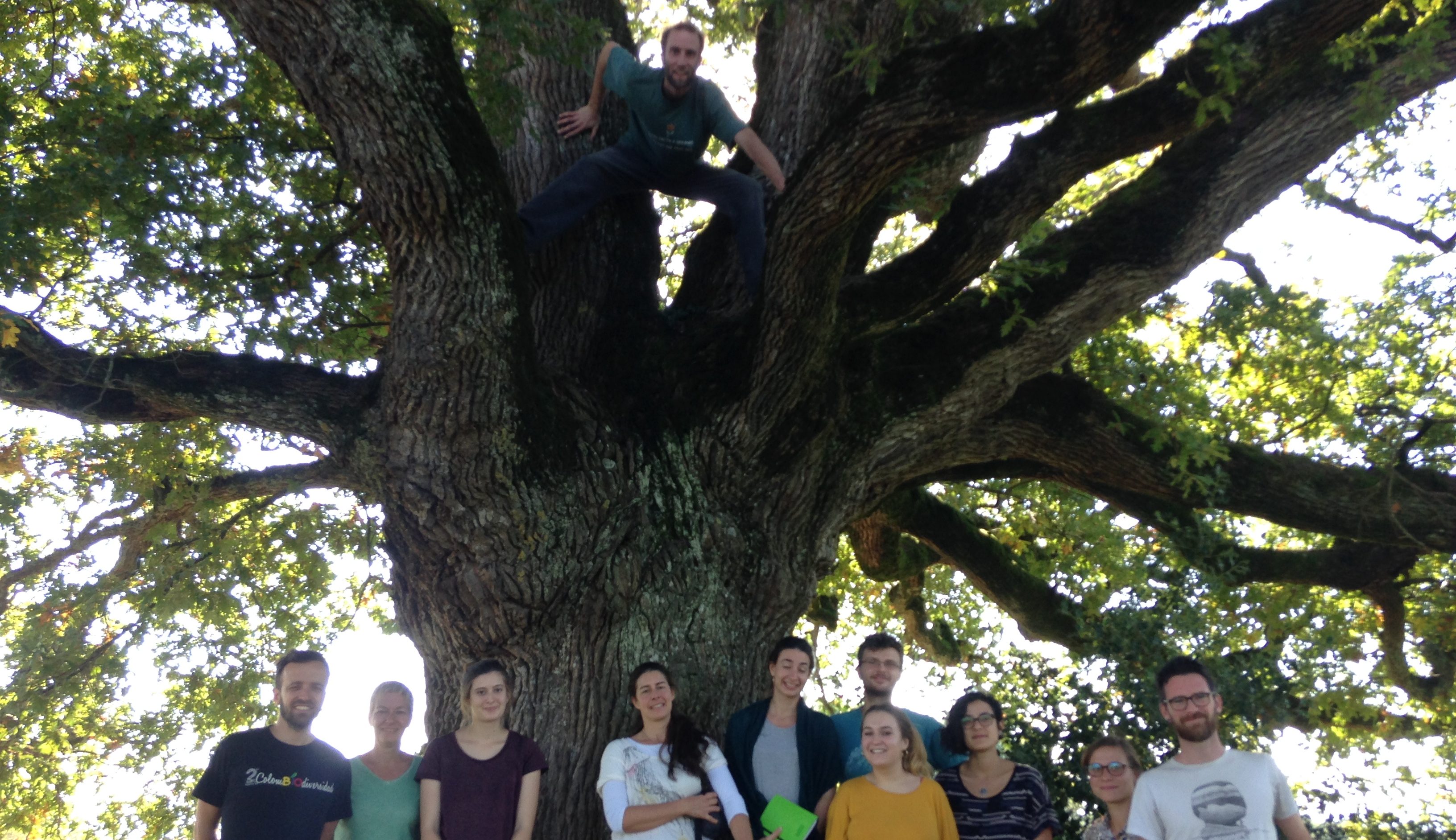 rencontre européenne d agroforesterie