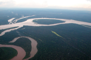 Vue aérienne de la concession Yanayacu Maquia