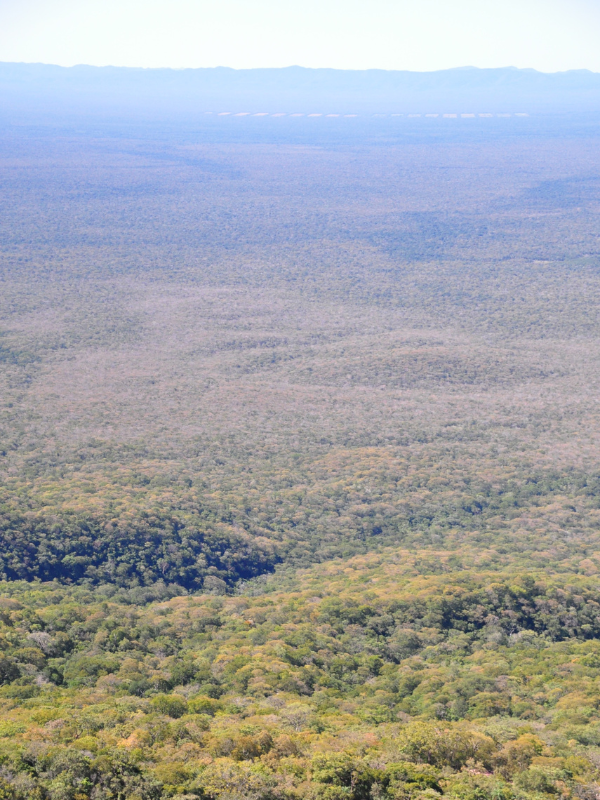 En Bolivie, Une Forêt Sèche Menacée