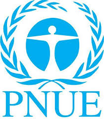 Logo PNUE