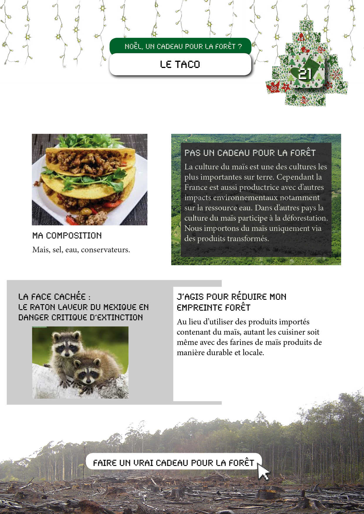 fiche_campagne-noel_envol-vert_21