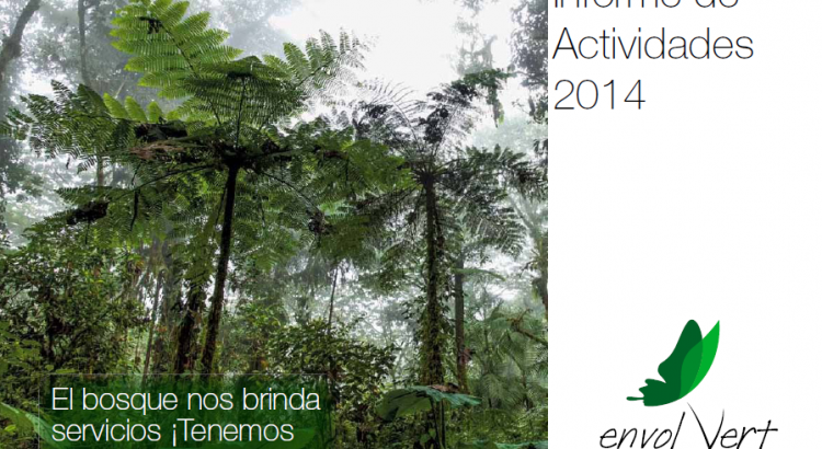 Informe de Actividades 2014