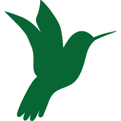 hummingbird-green
