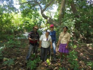 Reforestation-y-conservacion-ecologica-parcela-Hernan-Castrillo_mayo2018
