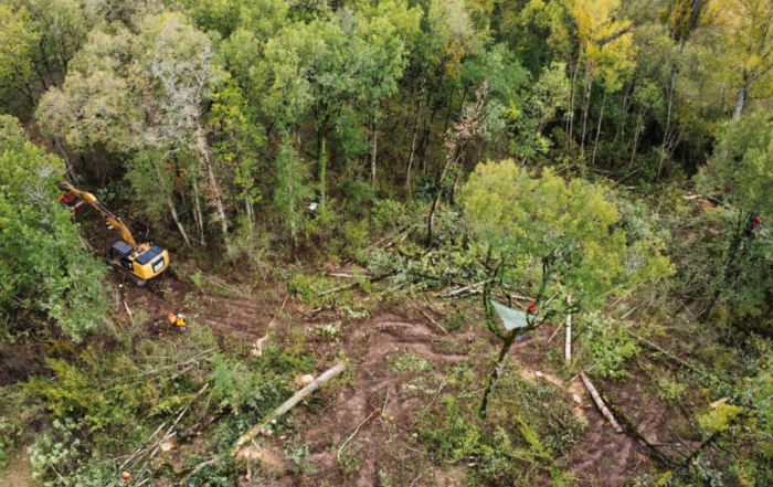 Caoutchouc naturel - Stratégie nationale de lutte contre la déforestation  importée