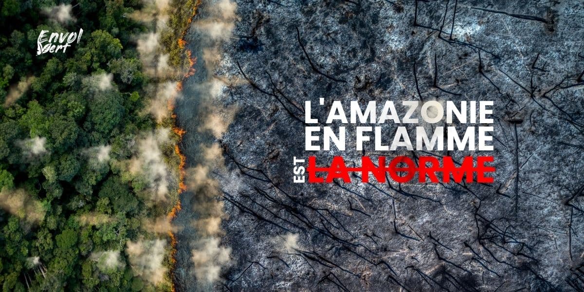 L'Amazonie en flamme n'est pas la norme