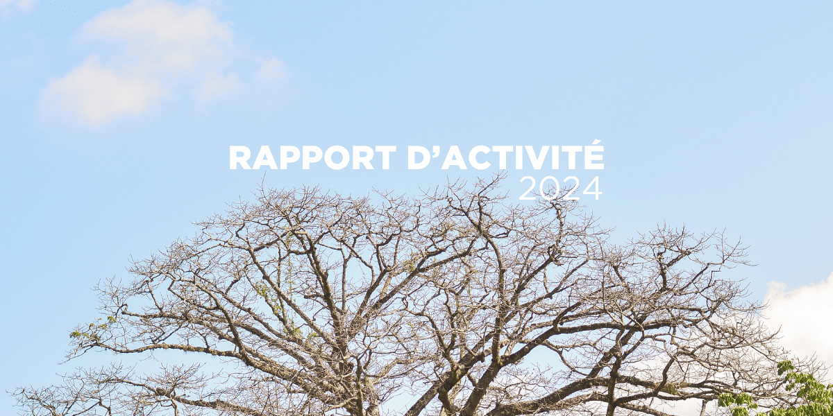 Rapport d'activités 2024