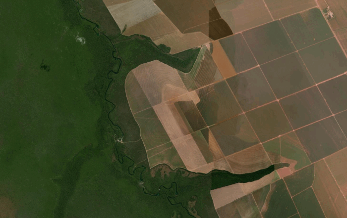Déforestation EF bandeau