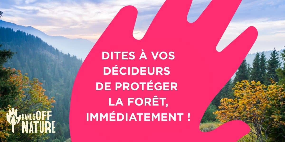 Hands of nature pétition forêt