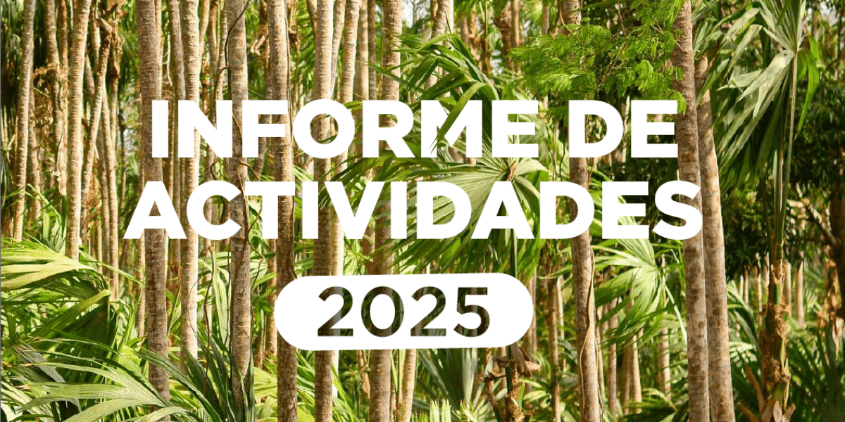 Informe de actividades