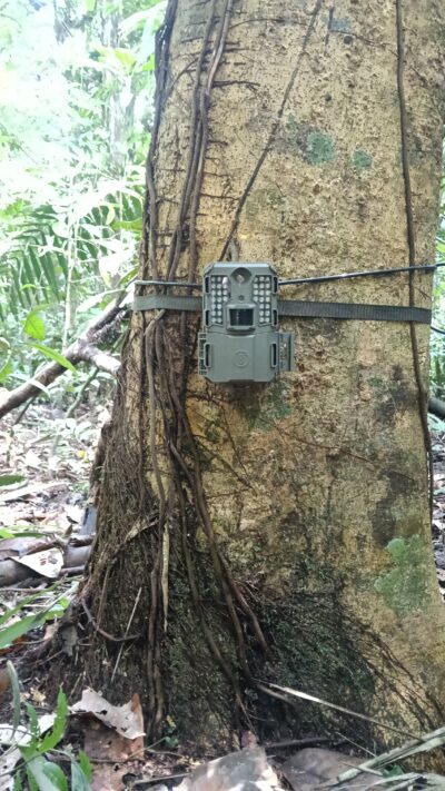 Cámaras trampa en el recorrido comunitario