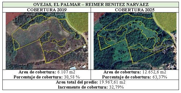 comparaison 2019-2025 des cartes d'Ovejas