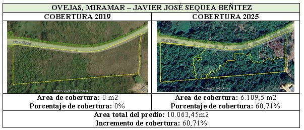 comparaison 2019-2025 des cartes d'Ovejas