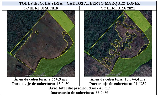 comparaison 2019-2025 des cartes de Toluviejo