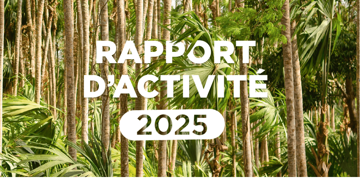 Rapport d'activité 2025
