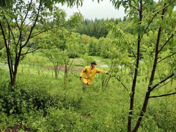15 ans_visite ferme hugo_fruitiers_web