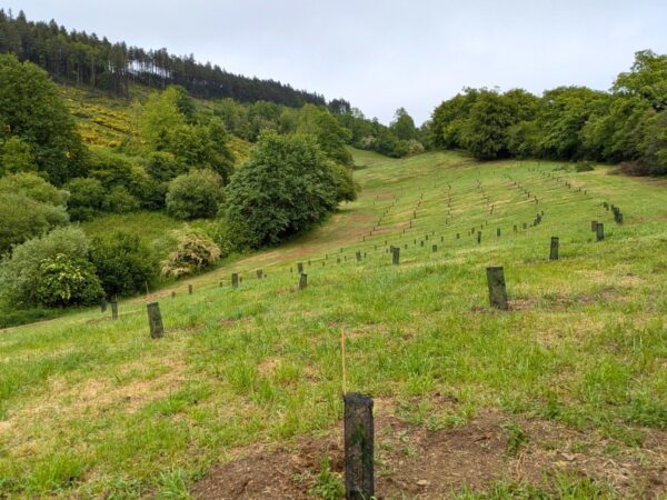 15 ans_visite ferme hugo_plantation_arbres_web