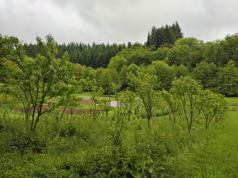 15 ans_visite ferme hugo_zone humide_web