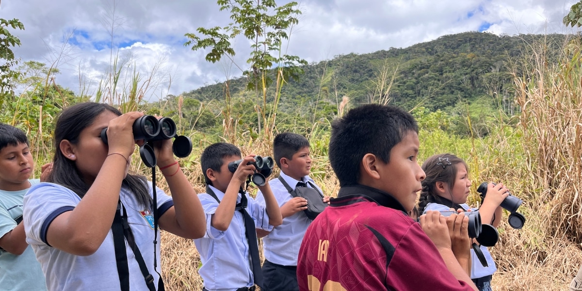 Children are watching birds through binoculars