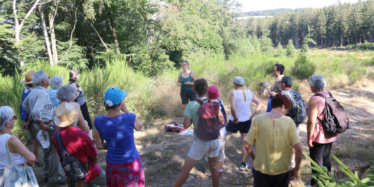 groupe de visiteurs en forêt