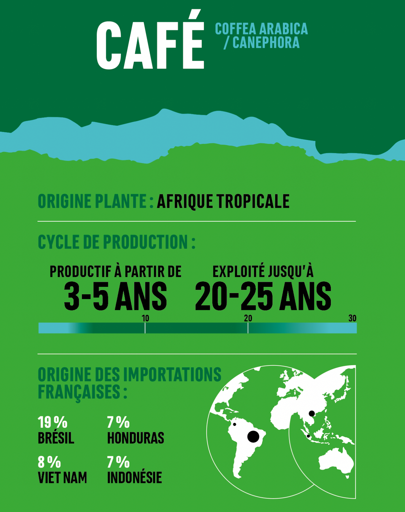 infographie empreinte foret café