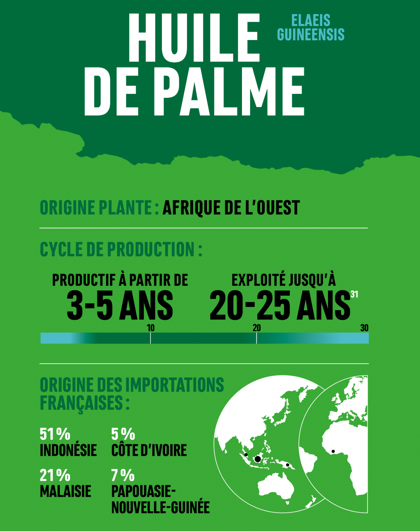 infographie empreinte forêt huile de palme