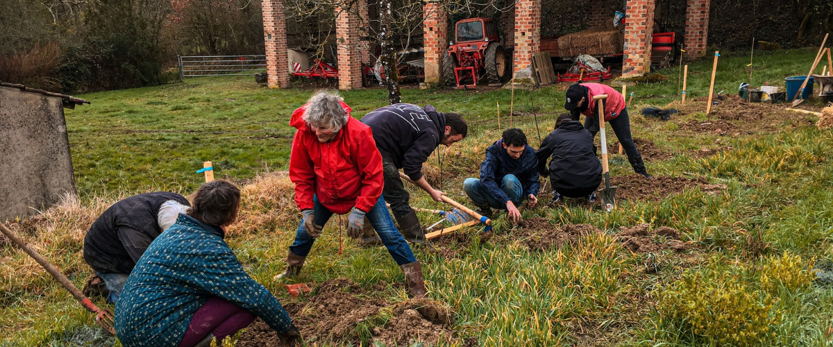 personnes en train de planter des arbres